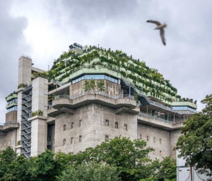 BuGG-Gründach des Jahres 2024. Hamburgs begrünter Hochbunker mit (Foto: Optigrün international AG)